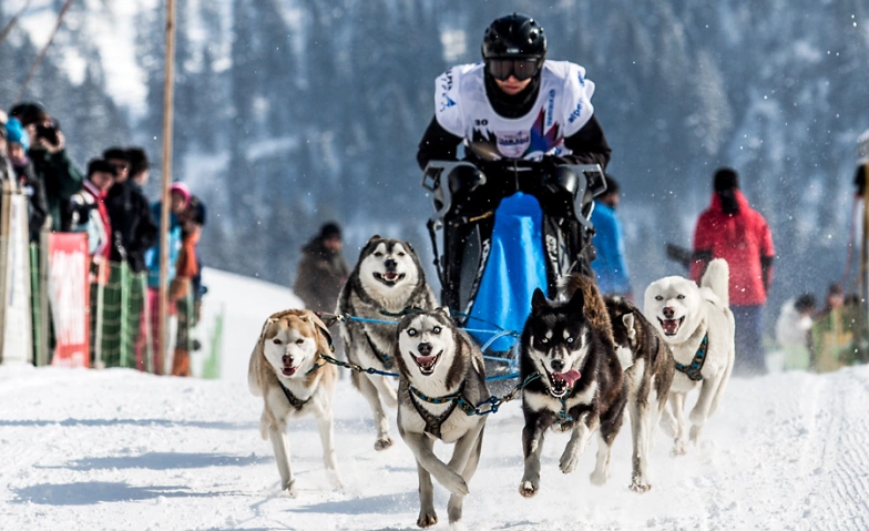 Event-Image for 'Internationales Schlittenhunderennen Gadmen'