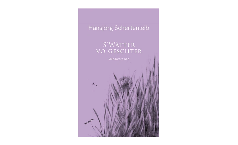 Event-Image for 'Stefan Gubser liest aus Hansjörg Schertenleibs Roman'