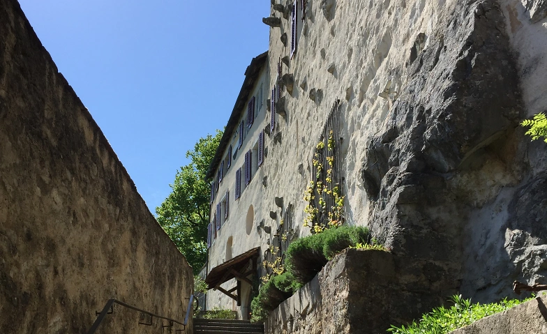 Event-Image for 'Schlossführungen Tag der offenen Tür'