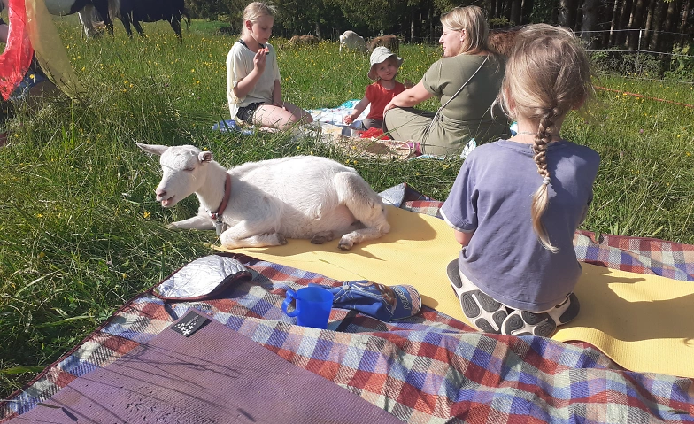Ziegenyoga für Kinder (und auch Erwachsene)