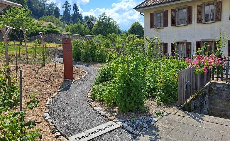 Event-Image for 'Öffentliche Führung durch die Essbare Landschaft'