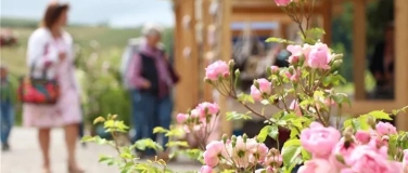 Event-Image for 'Rosenfest mit Handwerkskunst-Markt, Flohmarkt und Bistro'