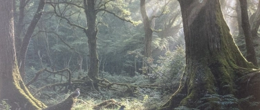 Event-Image for 'Exkursion „Altholzinsel im Hasel“'