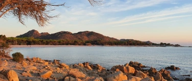 Event-Image for 'Wein, Wandern & Oliven Sardinien'