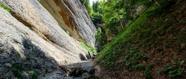 Event-Image for 'Geführte Wanderung: Grand Canyon der Ostschweiz'