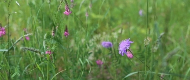 Event-Image for 'Sense-Mähkurs'