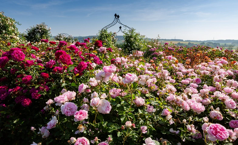 British Garden Days