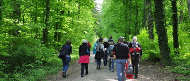 Event-Image for 'Zäme go Laufe ab 60 Jahre Wanderung zum Römischen Gutshof'