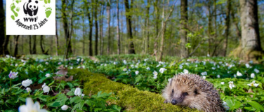 Event-Image for 'Ein Zuhause für den Igel'