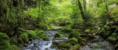 Event-Image for 'Fotokurs / Fotoworkshop in der Twannbachschlucht'