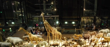 Event-Image for 'Une histoire des muséums d’histoire naturelle'