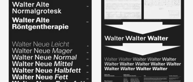 Event-Image for 'ABC Walter - eine Hommage an Walter Käch'