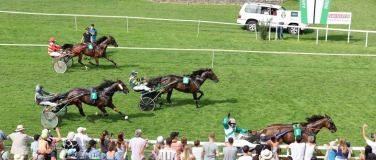 Event-Image for 'ARV Pferderennen 2025, 2. Renntag (GP des Kt. Aargau)'