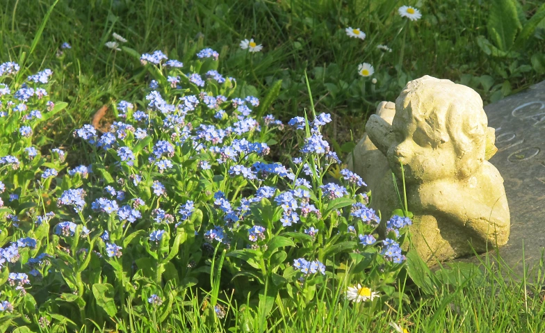 Event-Image for 'Fahrdienst vom Bahnhof Dietikon zum Friedhof Guggenbühl'