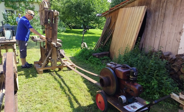 Holzsägertag, wir gehen ins Holz