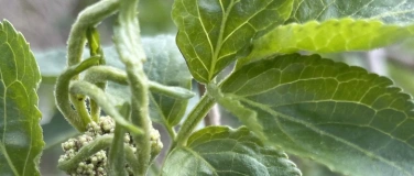 Event-Image for 'Poesie der Natur im Kreis des Jahres. Meditationskurs'