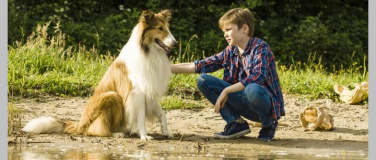 Event-Image for 'Lassie – Ein neues Abenteuer'