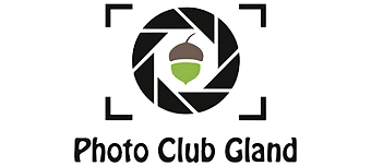 Event organiser of Expo photo "Monochrome"  Photo Club Gland