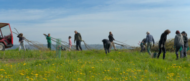 Event-Image for 'Natur verbindet – Wieselburgen bauen bei der Falkenburg'