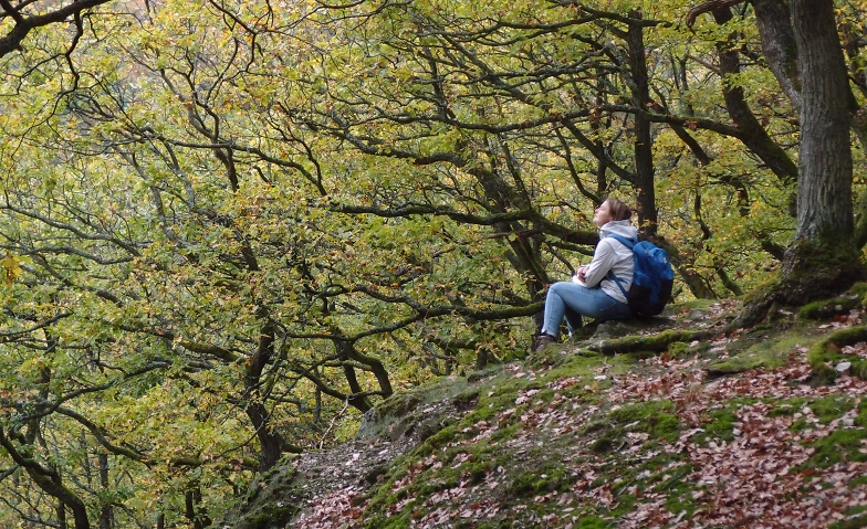 Waldbaden4Resilienz