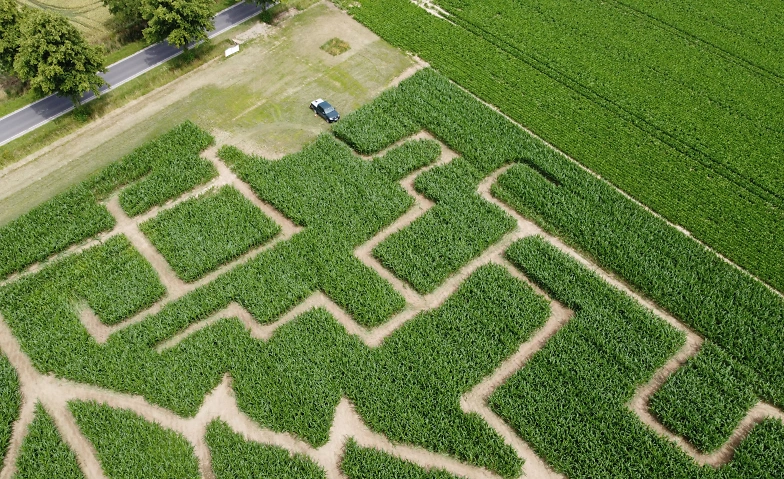 Besuch Maislabyrinth