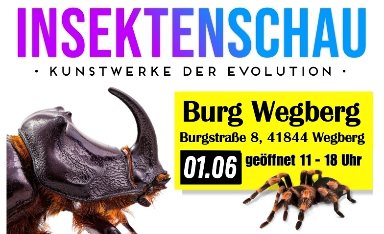 Insektenschau - Kunstwerke der Evolution