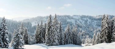 Event-Image for 'Winter-Zauber-Wald'