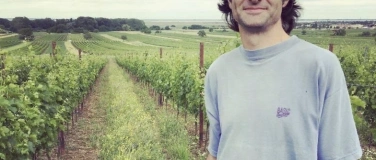 Event-Image for 'Wein & Dine mit Hammer Wein Rust'