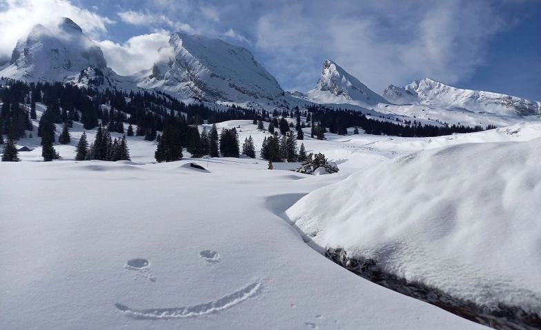 Event-Image for 'Schneeschuhtour ins Frümseltal - 2 Tage mit Fondueplausch'