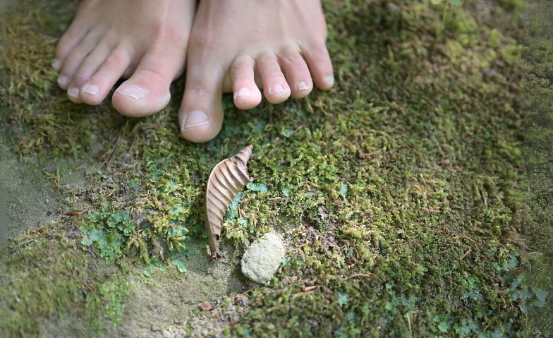 Event-Image for 'Tanz der Elemente - Verbindung mit Körper und Natur'