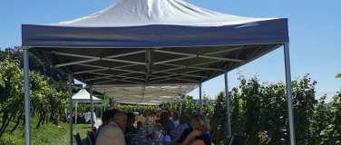 Event-Image for 'Tavolata im Weinberg – Genuss mit Aussicht'