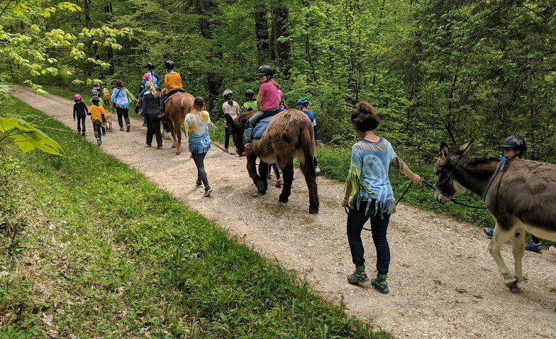 Event-Image for 'Tierischer Waldspaziergang'