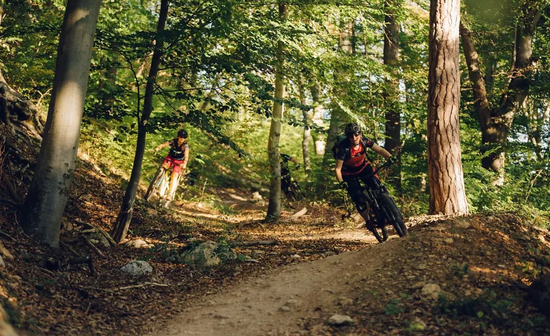 Shuttle-Tour Bike Trail Arlesheim Trailcenter Aesch Billets