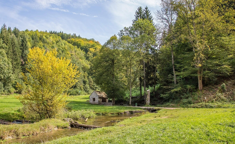 Singlewanderung Ulm: Klosterpfad Roggenburg (30+ J.)