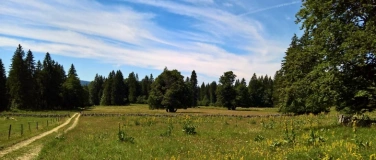 Event-Image for 'Alles rund mit der Biodiversität?!'