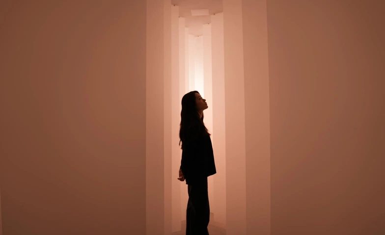 Event-Image for 'Beyond the visible: Discoveries in Light'