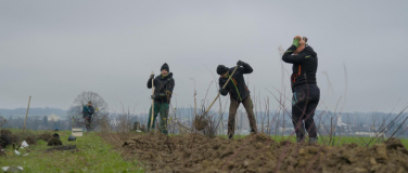 Event-Image for 'WWF-Einsatz - Heckenpflanzung in Appenzell'