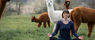Event-Image for 'Yoga inmitten Alpakas in  Bergdietikon'